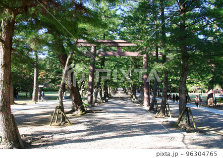 松の参道・出雲大社（島根県・出雲市） 96304765