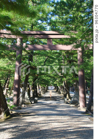 松の参道・出雲大社（島根県・出雲市） 96304770