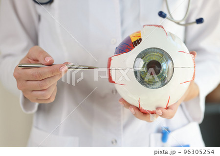 Ophthalmologist doctor holds part of anatomical model of eye close up. 96305254