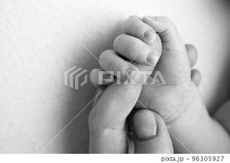 Close-up little hand of child and palm of mother and father. The newborn baby has a firm grip on the parent's finger after birth. A newborn holds on to mom's, dad's finger. Black and white photo. Close-up little hand of child and palm of mother and father. The newborn baby has a firm grip on the parent's finger after birth. A newborn holds on to mom's, dad's finger. Black and white photo. 96305927