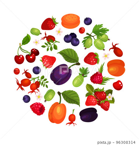 Fresh ripe berries of circular shape. Cherry,...のイラスト素材 [96308314] - PIXTA