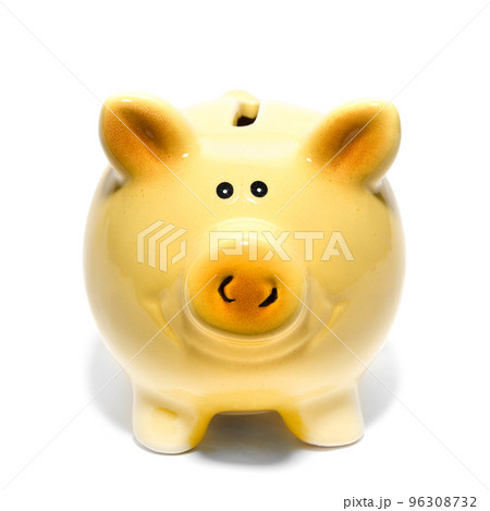 piggy bank 96308732