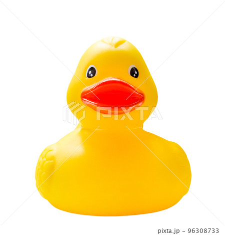 rubber duck 96308733