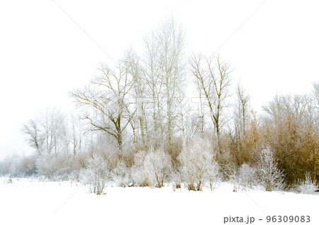 winter landscape winter landscape 96309083