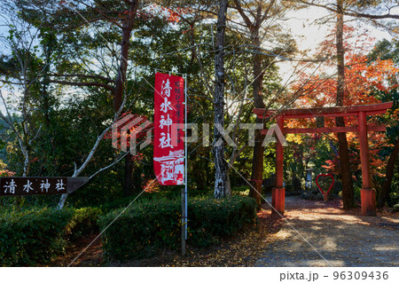 秋の清水神社 96309436
