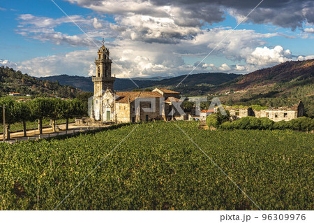 church in the middle of vineyards 96309976