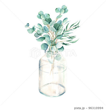 Eucalyptus branches in vase, jar. Silver dollar, willow, true blue. Watercolor hand drawn botanical illustration isolated on white background. Eco minimalistic style for greeting card, poster. 96310994