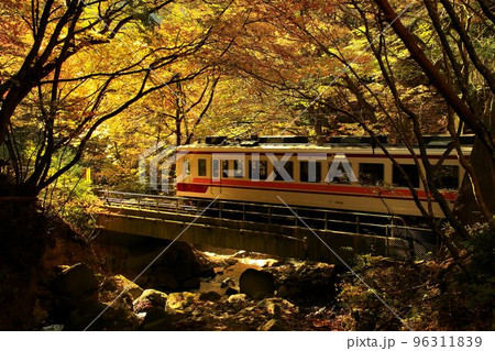 紅葉の渓流を眺めつつ奥鬼怒路を行く…龍王峡駅にて『6050系』 96311839