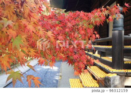多聞院　紅葉 96312159