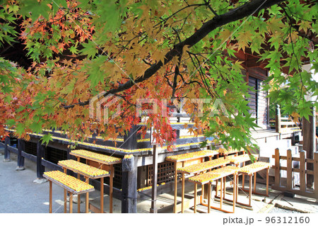 多聞院 紅葉 多聞院 紅葉 96312160