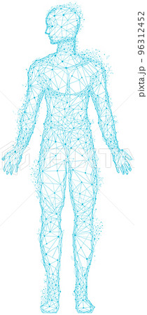 Polygonal human body with head and limbs. Geometric outline of man made of blue lines and dots Polygonal human body with head and limbs. Geometric outline of man made of blue lines and dots 96312452