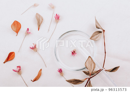 Abstract cosmetic medical background. Laboratory petri dish and dry flowers. The concept of natural cosmetics 96313573
