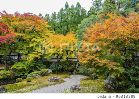 秋の泉涌寺　御座所の庭園　京都府京都市 96313589
