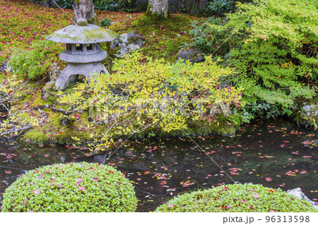 秋の泉涌寺 御座所の庭園 京都府京都市 秋の泉涌寺 御座所の庭園 京都府京都市 96313598