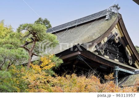 秋の泉涌寺 御座所前の庭園絡みた霊明殿 京都府京都市 秋の泉涌寺 御座所前の庭園絡みた霊明殿 京都府京都市 96313957