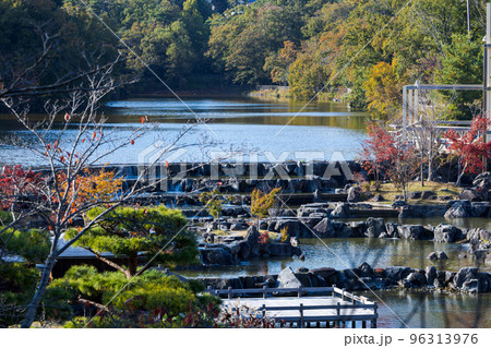 けいはんな記念公園　水景園　段々になった池と両脇のもみじ（紅葉）＆桜 96313976