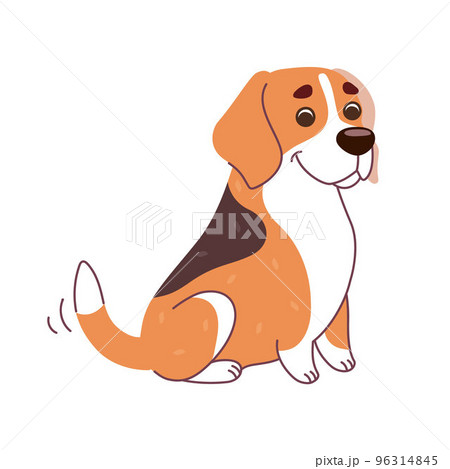 Ginger dog with white spots. Beagle in a flat style. Vector illustration. 96314845
