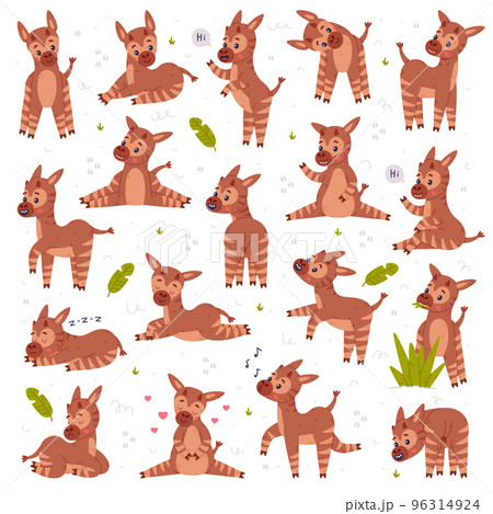 Collection of cute baby okapi in different poses. Funny wild African animal character cartoon vector illustration Collection of cute baby okapi in different poses. Funny wild African animal character cartoon vector illustration 96314924