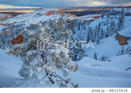 Winter Bryce Winter Bryce 96315616