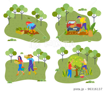 Gardeners collection. People harvest vegetables and fruits, autumn time. Harvesting. Flat image 96316137