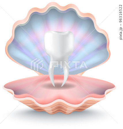 Single mesh human tooth inside shelf. Clam with molar like pearl. Dental care and hygiene symbol 96316522
