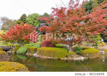 偕楽園公園の紅葉 偕楽園公園の紅葉 96316699