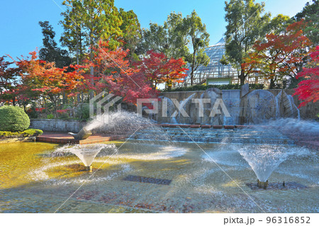 秋深まる植物園 96316852