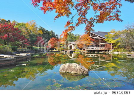 秋深まる植物園 秋深まる植物園 96316863