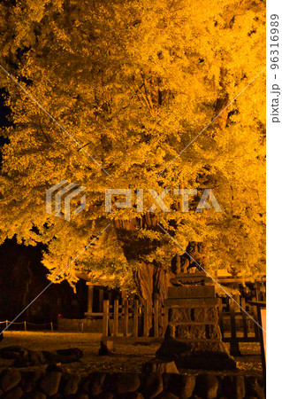 喜多方市　新宮熊野神社　長床 96316989