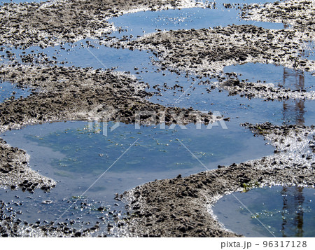 和白干潟(博多湾奥に広がる干潟)。福岡市東区。 96317128