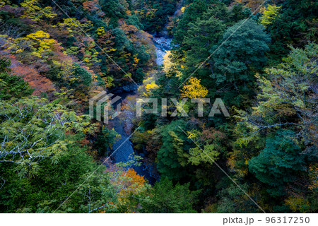 秋の寸又峡 96317250