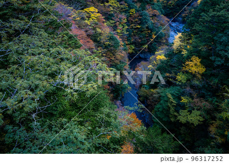 秋の寸又峡 96317252