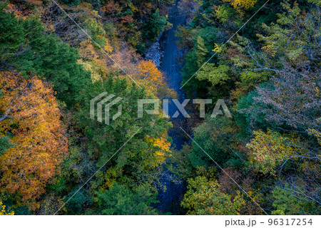 秋の寸又峡 96317254