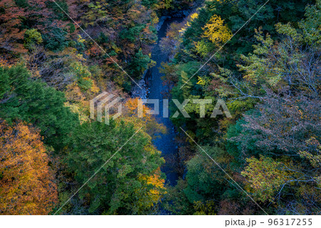 秋の寸又峡 96317255