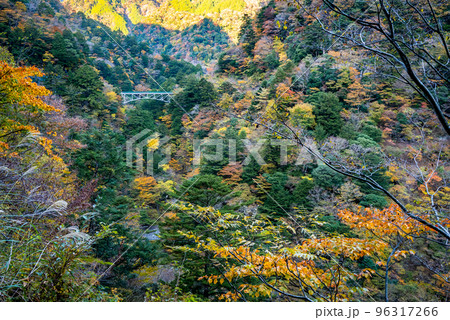 秋の寸又峡 96317266