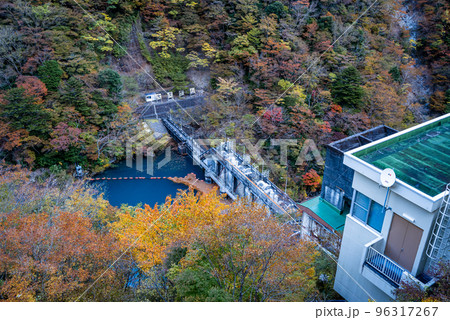 秋の寸又峡 96317267