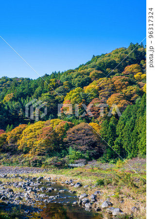 渡良瀬川 下流方向 くろほね大橋からの眺め 秋風景 渡良瀬川 下流方向 くろほね大橋からの眺め 秋風景 96317324