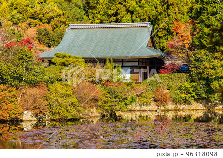 古都京都の秋　世界遺産　紅葉の龍安寺　大珠院 96318098