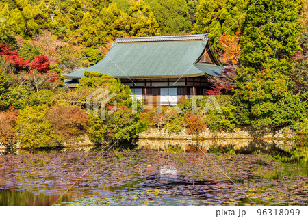 古都京都の秋 世界遺産 紅葉の龍安寺 大珠院 古都京都の秋 世界遺産 紅葉の龍安寺 大珠院 96318099