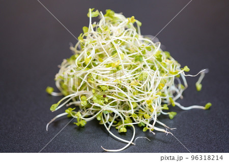 ブロッコリースーパースプラウト 96318214