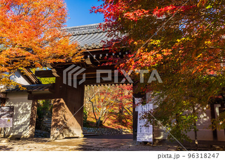 古都京都の秋　世界遺産　紅葉の龍安寺　山門 96318247