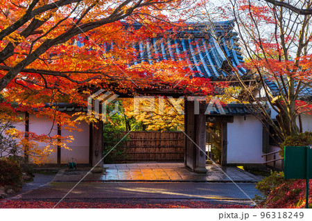 古都京都の秋　世界遺産　紅葉の龍安寺　山門 96318249