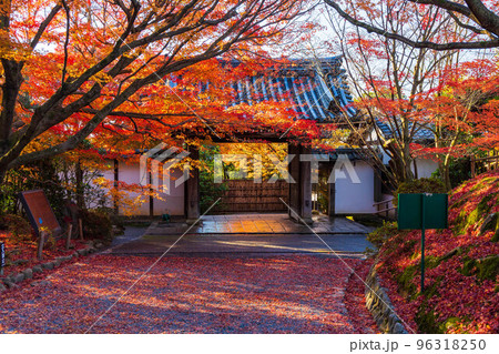 古都京都の秋　世界遺産　紅葉の龍安寺　山門 96318250