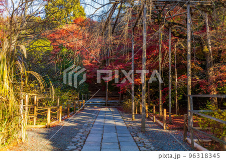 古都京都の秋　世界遺産　紅葉の龍安寺　参道 96318345