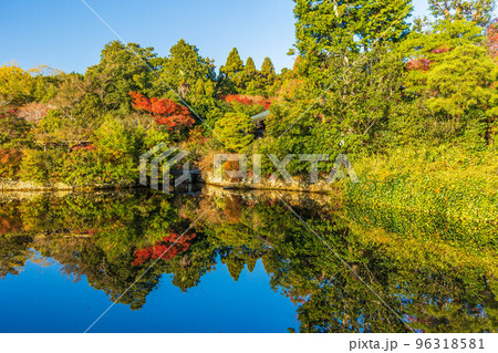 古都京都の秋　世界遺産　紅葉の龍安寺　鏡容池 96318581