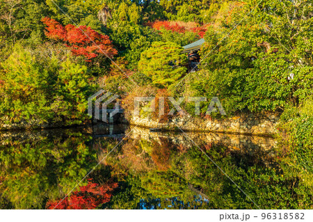 古都京都の秋　世界遺産　紅葉の龍安寺　鏡容池 96318582