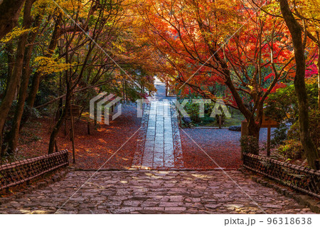 古都京都の秋 世界遺産 紅葉の龍安寺 龍安寺垣と参道 古都京都の秋 世界遺産 紅葉の龍安寺 龍安寺垣と参道 96318638