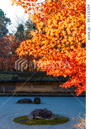 古都京都の秋 世界遺産 紅葉の龍安寺 石庭 古都京都の秋 世界遺産 紅葉の龍安寺 石庭 96319104