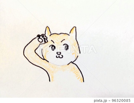 了解　柴犬 96320085