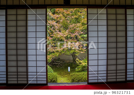 秋の御寺泉涌寺 別院 雲龍院 庭園 京都府京都市 秋の御寺泉涌寺 別院 雲龍院 庭園 京都府京都市 96321731